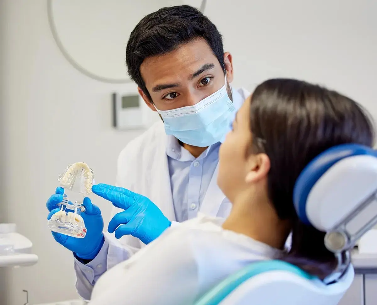 A dentist explaining a clear dental model to a patient